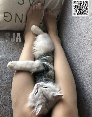 色先锋玖玖ab资源部_BD国语高清电影在线