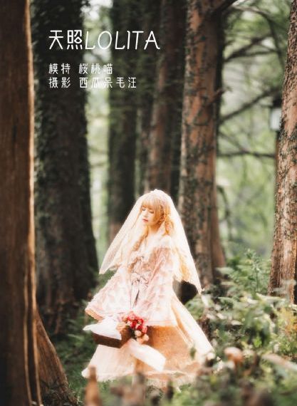 欧美日韩一区二区三区免费_电影在线观看免费